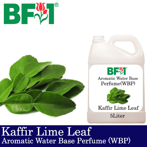Aromatic Water Base Perfume (WBP) - Kaffir Lime Leaf - 5L Diffuser Perfume
