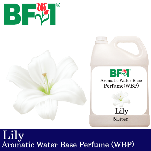 Aromatic Water Base Perfume (WBP) - Lily - 5L Diffuser Perfume