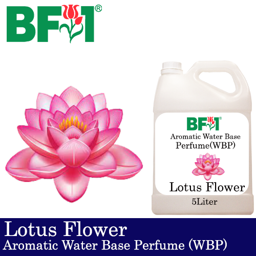 Aromatic Water Base Perfume (WBP) - Lotus Flower - 5L Diffuser Perfume