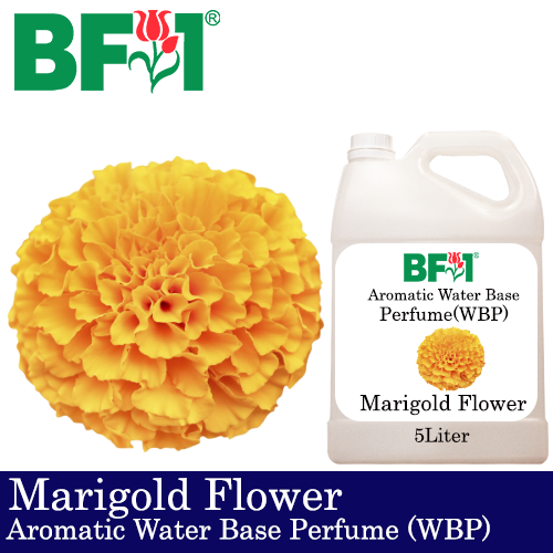 Aromatic Water Base Perfume (WBP) - Marigold Flower - 5L Diffuser Perfume