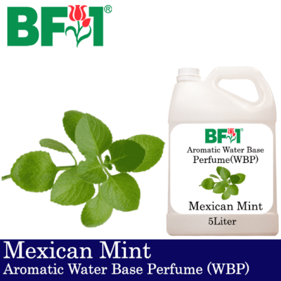 Aromatic Water Base Perfume (WBP) - Mexican Mint - 5L Diffuser Perfume