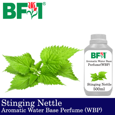 Aromatic Water Base Perfume (WBP) - Stinging Nettle - 500ml Diffuser Perfume