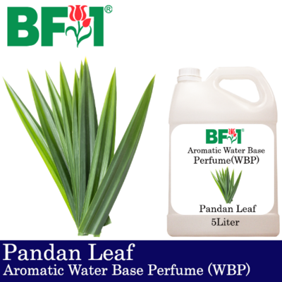 Aromatic Water Base Perfume (WBP) - Pandan Leaf - 5L Diffuser Perfume