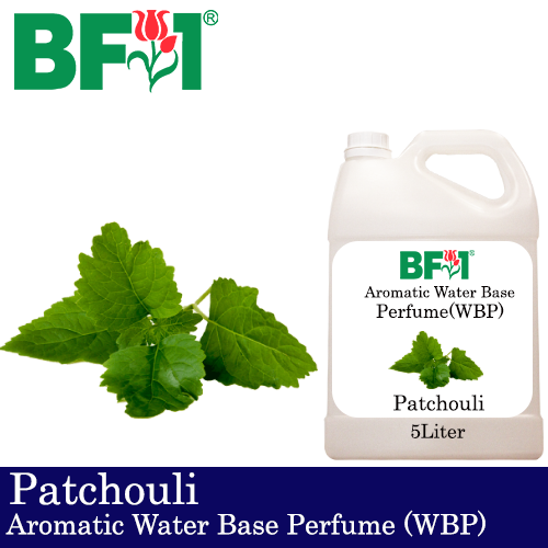 Aromatic Water Base Perfume (WBP) - Patchouli - 5L Diffuser Perfume