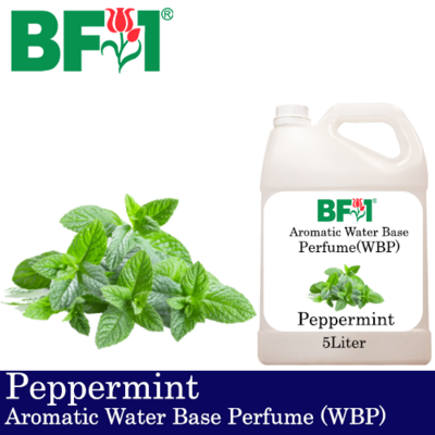 Aromatic Water Base Perfume (WBP) - Peppermint - 5L Diffuser Perfume