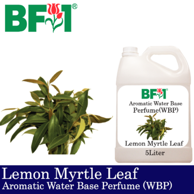 Aromatic Water Base Perfume (WBP) - Lemon Myrtle Leaf - 5L Diffuser Perfume