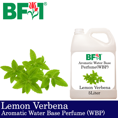 Aromatic Water Base Perfume (WBP) - Lemon Verbena - 5L Diffuser Perfume