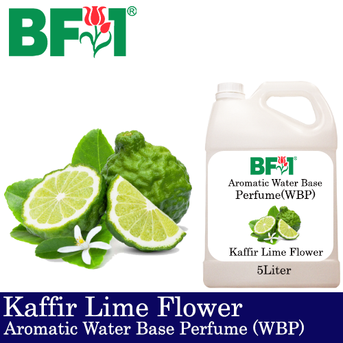 Aromatic Water Base Perfume (WBP) - Kaffir Lime Flower - 5L Diffuser Perfume