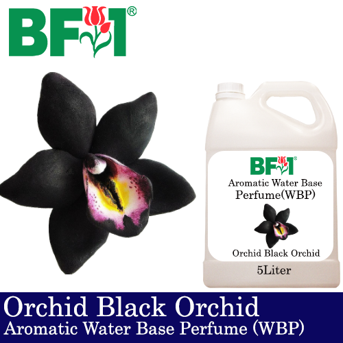 Aromatic Water Base Perfume (WBP) - Orchid Black Orchid - 5L Diffuser Perfume Aromatic Water Base Perfume (WBP) - Orchid Black Orchid - 5L Diffuser Perfume