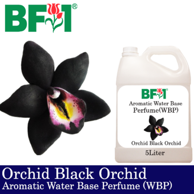 Aromatic Water Base Perfume (WBP) - Orchid Black Orchid - 5L Diffuser Perfume