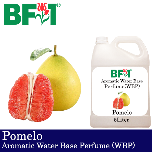 Aromatic Water Base Perfume (WBP) - Pomelo - 5L Diffuser Perfume