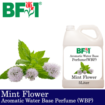 Aromatic Water Base Perfume (WBP) - Mint Flower - 5L Diffuser Perfume