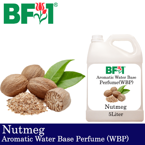 Aromatic Water Base Perfume (WBP) - Nutmeg - 5L Diffuser Perfume