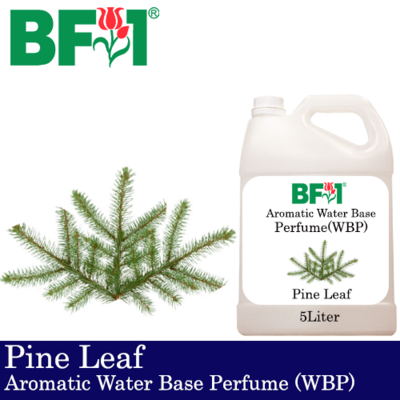 Aromatic Water Base Perfume (WBP) - Pine Leaf - 5L Diffuser Perfume