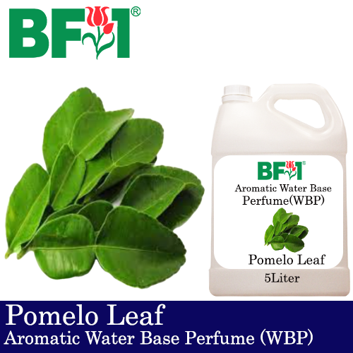 Aromatic Water Base Perfume (WBP) - Pomelo Leaf - 5L Diffuser Perfume