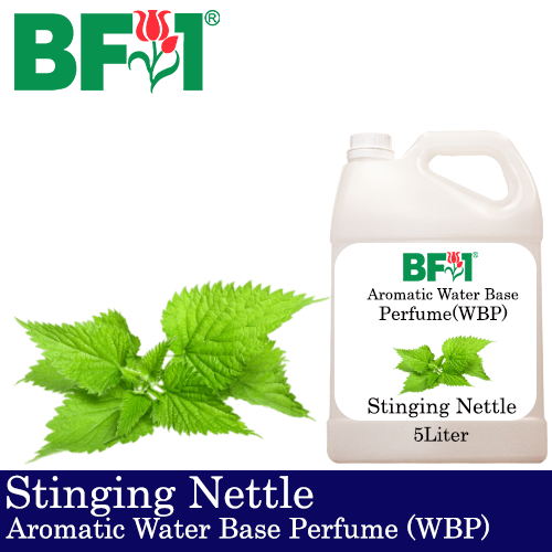 Aromatic Water Base Perfume (WBP) - Stinging Nettle - 5L Diffuser Perfume