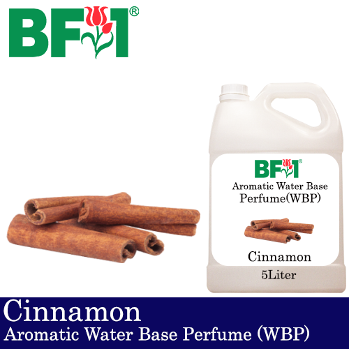 Aromatic Water Base Perfume (WBP) - Cinnamon - 5L Diffuser Perfume