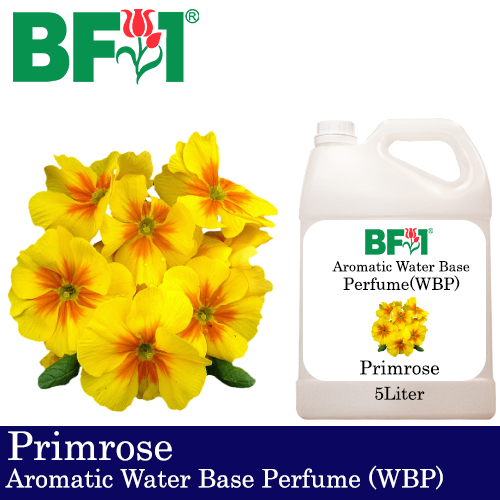 Aromatic Water Base Perfume (WBP) - Primrose - 5L Diffuser Perfume
