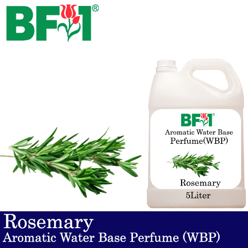 Aromatic Water Base Perfume (WBP) - Rosemary - 5L Diffuser Perfume