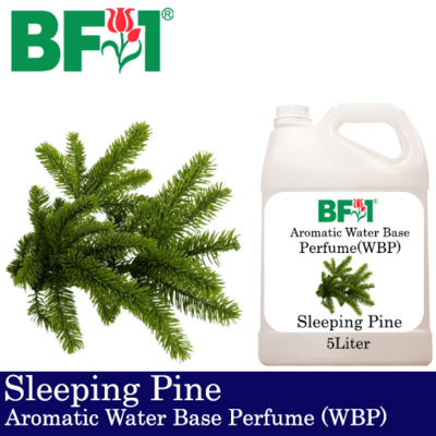 Aromatic Water Base Perfume (WBP) - Sleeping Pine - 5L Diffuser Perfume