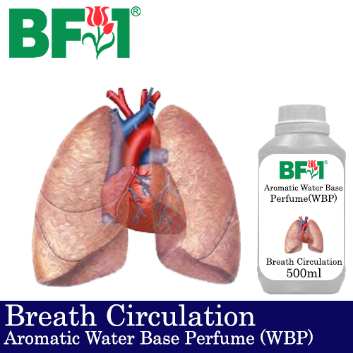Aromatic Water Base Perfume (WBP) - Breath Circulation - 500ml Diffuser Perfume
