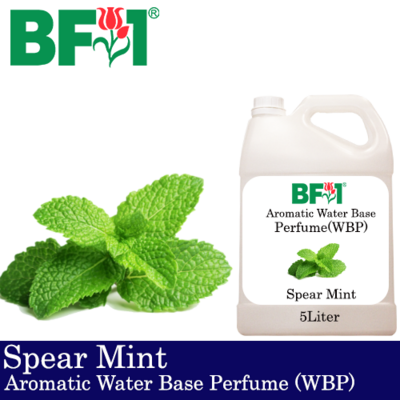 Aromatic Water Base Perfume (WBP) - Spear Mint - 5L Diffuser Perfume