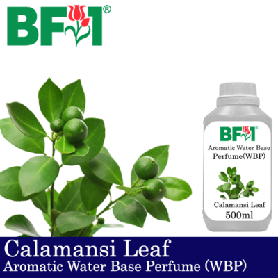 Aromatic Water Base Perfume (WBP) - Calamansi Leaf - 500ml Diffuser Perfume