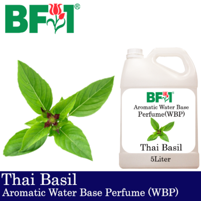 Aromatic Water Base Perfume (WBP) - Thai Basil - 5L Diffuser Perfume