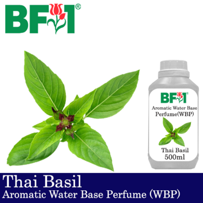 Aromatic Water Base Perfume (WBP) - Thai Basil - 500ml Diffuser Perfume