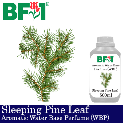 Aromatic Water Base Perfume (WBP) - Sleeping Pine Leaf - 500ml Diffuser Perfume