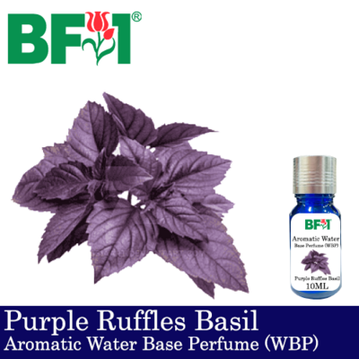 Aromatic Water Base Perfume (WBP) - Purple Ruffles Basil - 10ml Diffuser Perfume