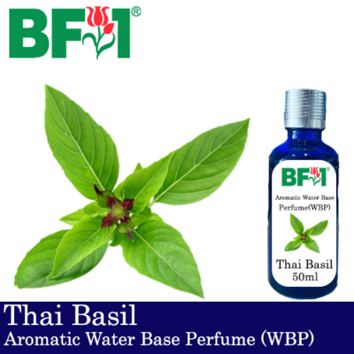 Aromatic Water Base Perfume (WBP) - Thai Basil - 50ml Diffuser Perfume