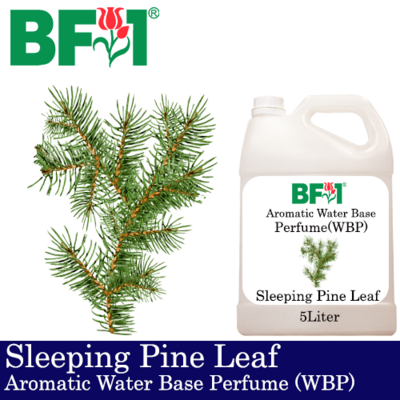 Aromatic Water Base Perfume (WBP) - Sleeping Pine Leaf - 5L Diffuser Perfume