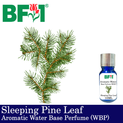 Aromatic Water Base Perfume (WBP) - Sleeping Pine Leaf - 10ml Diffuser Perfume