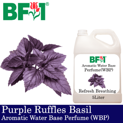Aromatic Water Base Perfume (WBP) - Purple Ruffles Basil - 5L Diffuser Perfume