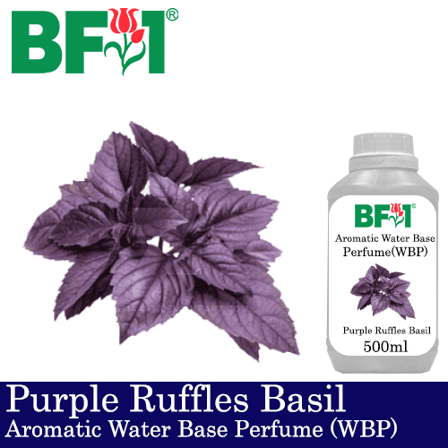 Aromatic Water Base Perfume (WBP) - Purple Ruffles Basil - 500ml Diffuser Perfume