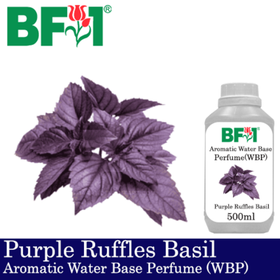 Aromatic Water Base Perfume (WBP) - Purple Ruffles Basil - 500ml Diffuser Perfume