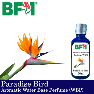 Aromatic Water Base Perfume (WBP) - Paradise Bird - 50ml Diffuser Perfume