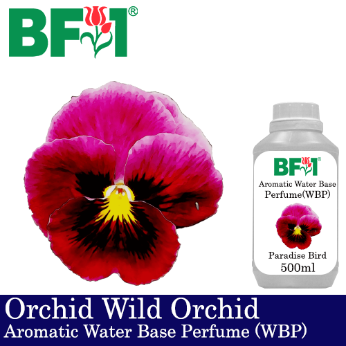 Aromatic Water Base Perfume (WBP) - Orchid Wild Orchid - 500ml Diffuser Perfume