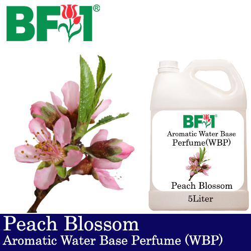 Aromatic Water Base Perfume (WBP) - Peach Blossom - 5L Diffuser Perfume