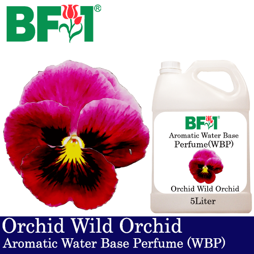 Aromatic Water Base Perfume (WBP) - Orchid Wild Orchid - 5L Diffuser Perfume