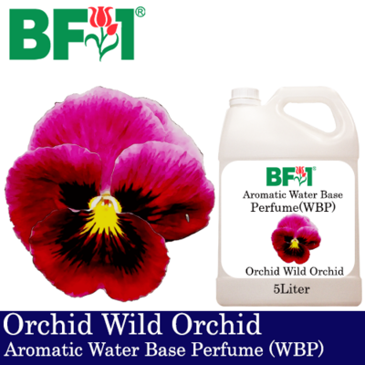 Aromatic Water Base Perfume (WBP) - Orchid Wild Orchid - 5L Diffuser Perfume
