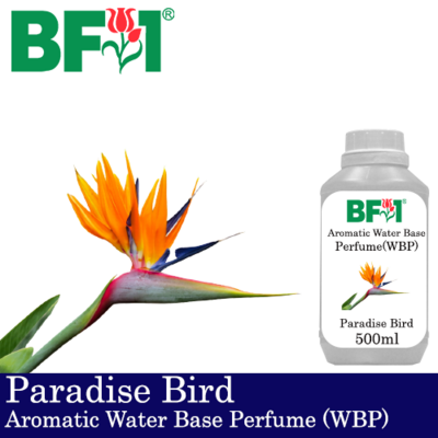 Aromatic Water Base Perfume (WBP) - Paradise Bird - 500ml Diffuser Perfume