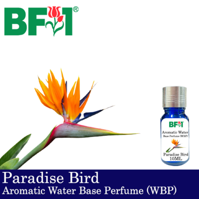 Aromatic Water Base Perfume (WBP) - Paradise Bird - 10ml Diffuser Perfume