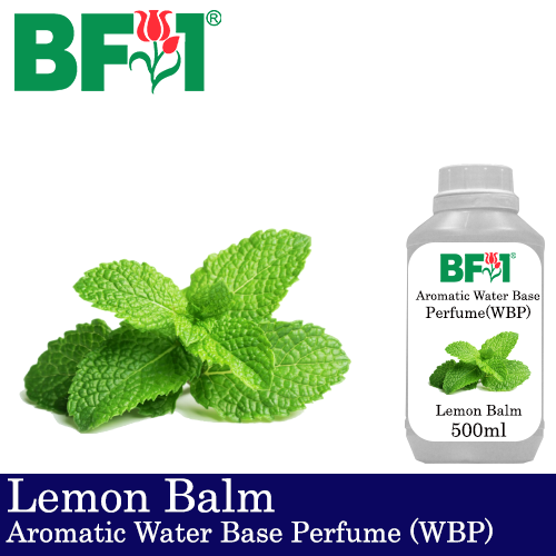Aromatic Water Base Perfume (WBP) - Lemon Balm - 500ml Diffuser Perfume