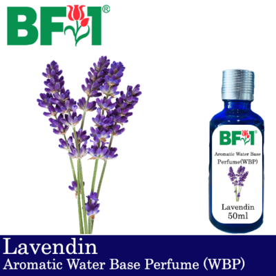 Aromatic Water Base Perfume (WBP) - Lavendin- 50ml Diffuser Perfume