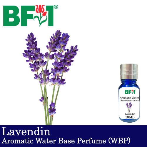 Aromatic Water Base Perfume (WBP) - Lavendin- 10ml Diffuser Perfume