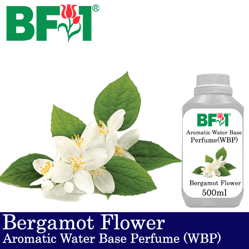 Aromatic Water Base Perfume (WBP) - Bergamot Flower - 500ml Diffuser Perfume
