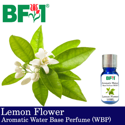 Aromatic Water Base Perfume (WBP) - Lemon Flower - 10ml Diffuser Perfume
