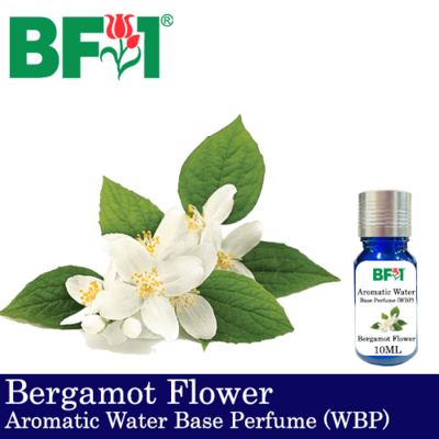 Aromatic Water Base Perfume (WBP) - Bergamot Flower - 10ml Diffuser Perfume